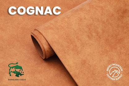 Journal Cover
